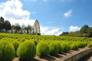 国営讃岐まんのう公園　サマーフェスタ