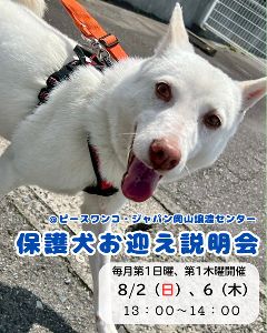保護犬お迎え説明会（8月）