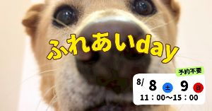 ワンコふれあいday（8月）