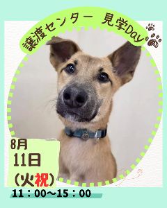 譲渡センター見学day（8月）