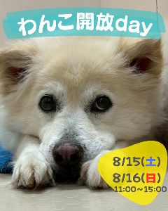 わんこ開放day　(8月)