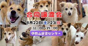 合同譲渡会（8月）