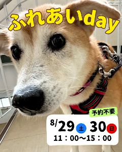 ふれあいday with神石＆福山（8月）
