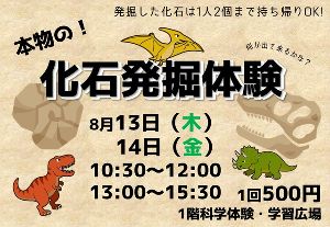 化石発掘体験