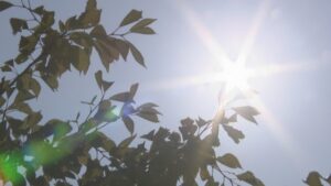 香川県内の観測史上最高気温を更新　東かがわ市の引田で38.9℃