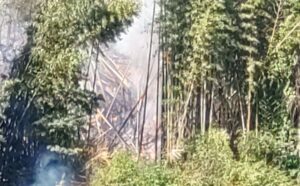 ごみを燃やした火が山に燃え移ったか　現場近くにいた男性を熱中症疑いで搬送　香川・まんのう町