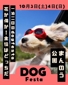 まんのう手作りフェス