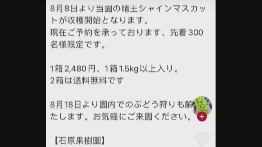 偽SNSで「シャインマスカットを安く販売」 実在する果樹園かたる詐欺の手口は 岡山市
