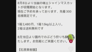 偽SNSで「シャインマスカットを安く販売」　実在する果樹園かたる詐欺の手口は　岡山市