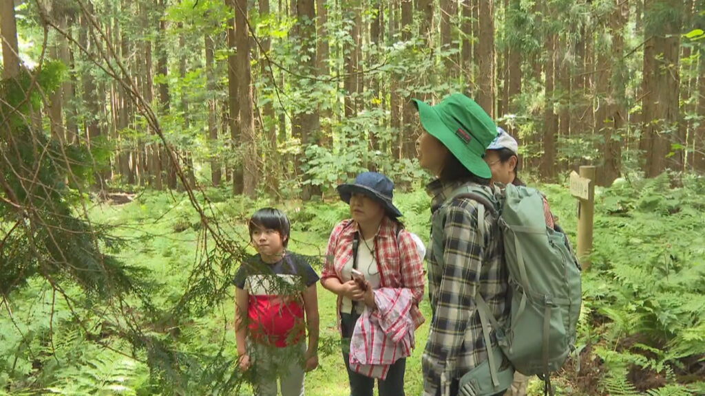 【山の日】山に親しむイベント 森林散策や炭火焼きの体験も 「木漏れ日がきれい」 岡山・新庄村