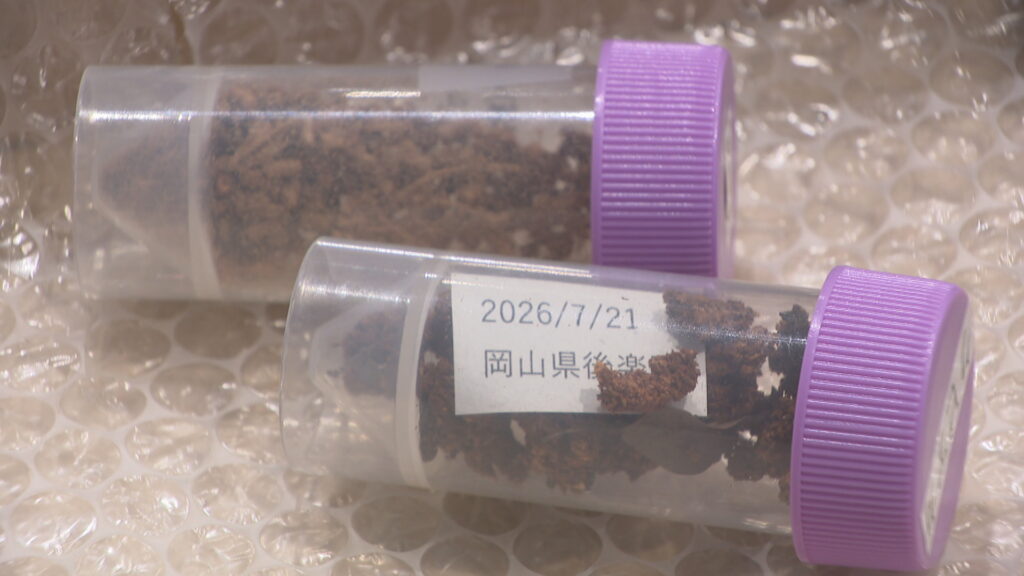 特定外来生物クビアカツヤカミキリの被害 岡山後楽園などの桜で確認 半径約2km以内の学校や公園を調査へ