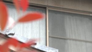 岡山市の住宅で80代夫婦死亡　夫を容疑者死亡のまま書類送検　無理心中図ったか