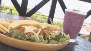 潮風を感じながら楽しむ　野菜たっぷりパニーニと自家栽培ブルーベリーのスムージー　香川【ほっとマルシェ】