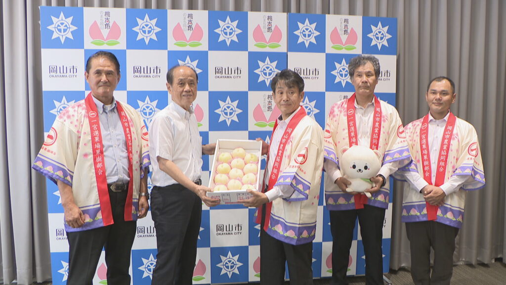 県オリジナル品種の白桃「白皇Ⓡ」 生産者らが岡山市長を表敬訪問 晩生の桃で濃厚な風味が特徴
