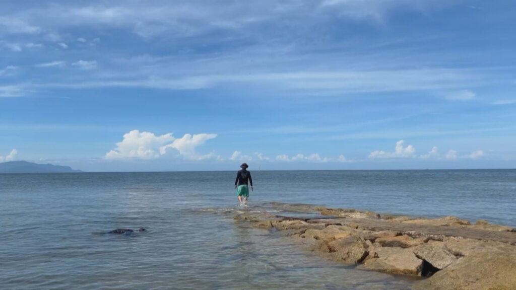 【涼を求めて…】猛暑を忘れる波の音　ゆったり過ごせる田の浦海岸　干潮になると現れる“海へ続く道”も　香川・東かがわ市