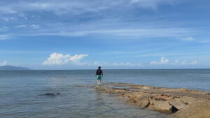 【涼を求めて…】猛暑を忘れる波の音　ゆったり過ごせる田の浦海岸　干潮になると現れる“海へ続く道”も　香川・東かがわ市