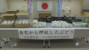 時価142万円相当　井原市でも大量のブドウを盗んだ疑い　男を再逮捕　岡山県警
