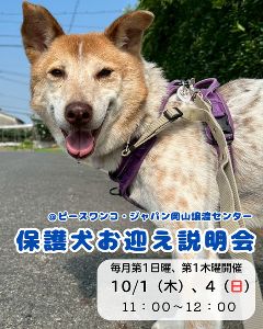 保護犬お迎え説明会（10月）