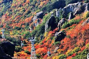 【紅葉・見ごろ】寒霞渓