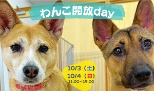 わんこ開放day　(10月)
