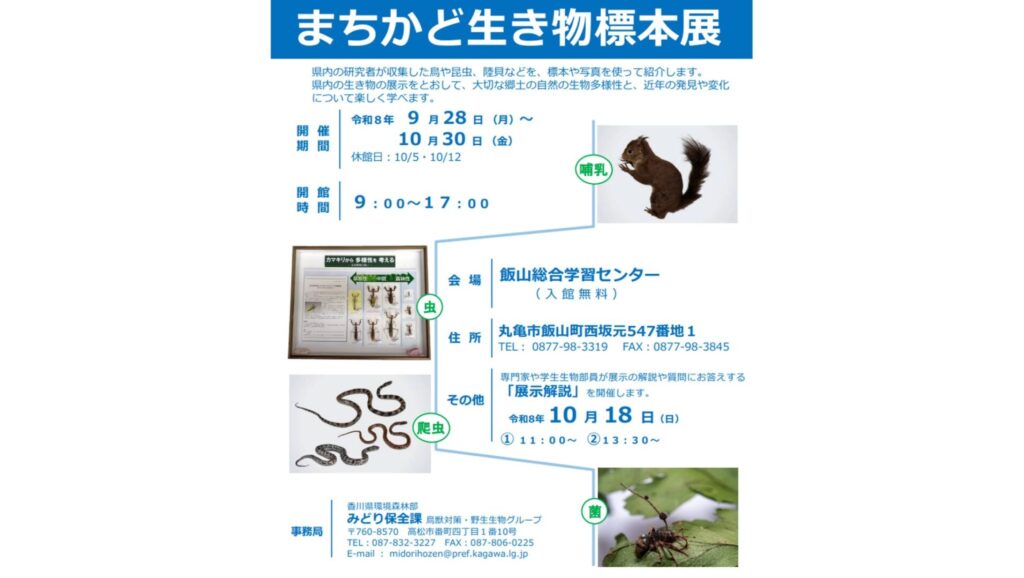 香川県内の生き物がズラリ!丸亀市で標本展 2025年に発見された「白マムシ」もお披露目