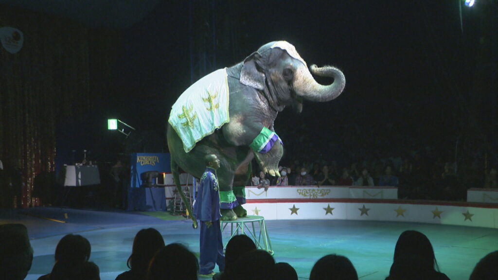 「ワーオってなった」　木下大サーカス岡山公演の千秋楽　3カ月で約24万人が来場