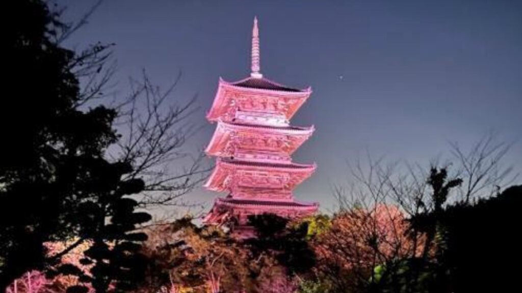 乳がん早期発見を啓発　備中国分寺五重塔をピンク色にライトアップ　岡山・総社市
