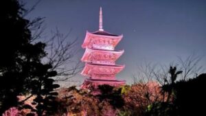 乳がん早期発見を啓発　備中国分寺五重塔をピンク色にライトアップ　岡山・総社市