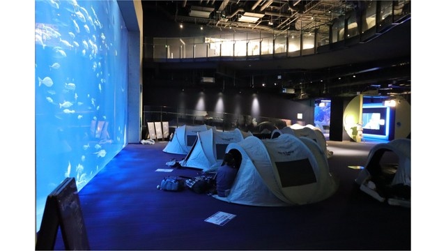 【11/28~29】四国水族館でキャンプ体験! 夜の水族館「Nightscape Camp2026 秋」を開催 香川