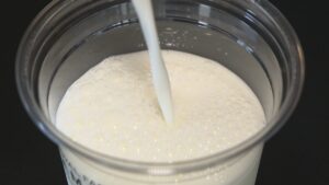 1日に搾れる牛乳の量は？季節やえさで味は変わる？　高松市の牧場に聞いてみた【みんなに聞いてみた】