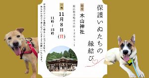 保護いぬたちの縁結び（11月）