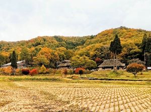 【紅葉・見ごろ】赤和瀬渓谷・うたたねの里