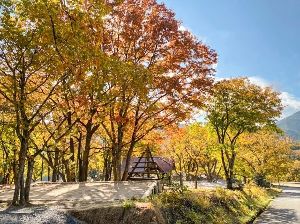 【紅葉・見ごろ】のとろ原