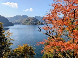 【紅葉・見ごろ】奥津湖・苫田ダム