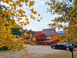 越畑紅葉まつり