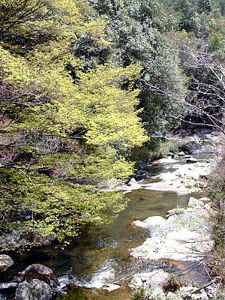 【紅葉・見ごろ】鬼ヶ嶽