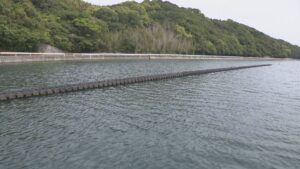 「香川県民の日」創設記念　東かがわ市で「安戸池まつり」　ひけた鰤の解体ショーなど