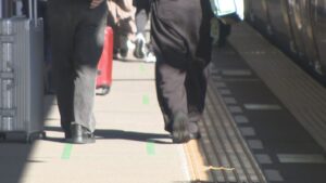 財布や傘、ワイヤレスイヤホン…年間4万点の忘れ物が届くJR四国　返却率を上げるため導入した新サービスとは