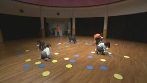【11/3】高松市のさぬきこどもの国で「運動×遊び」で体を動かすイベント