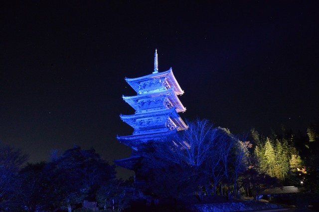 【11/9～15】「世界糖尿病デー」にあわせ備中国分寺五重塔をブルーにライトアップ　岡山