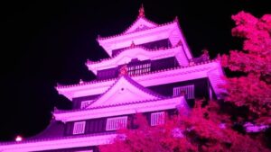 「乳がん」予防を啓発　岡山城をピンクにライトアップ　10月9日