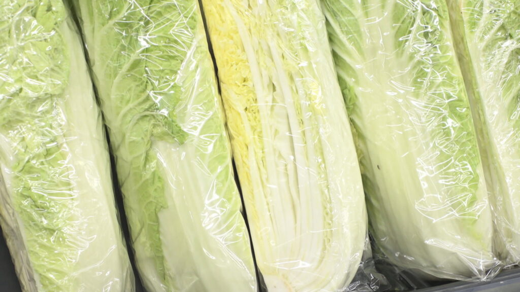 キャベツ1玉539円など 岡山・香川で野菜が高騰「高くて買えない」 関東で約1カ月雨続き…