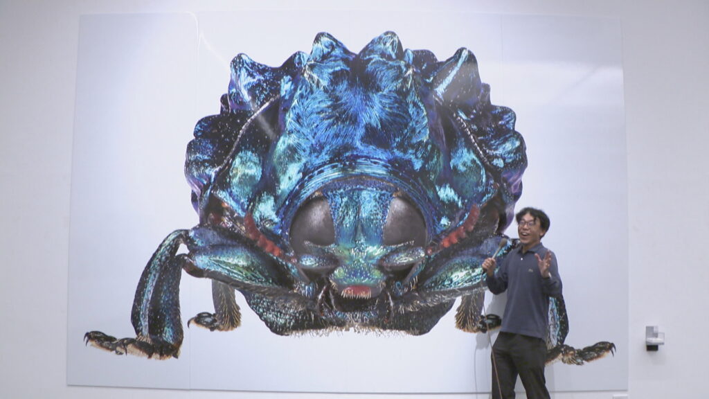 超拡大された個性的な虫の姿に驚き!養老孟司さんら企画の「虫展」 岡山県立美術館