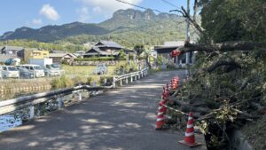 秋祭りの日　神社の木が倒れる　電線切れ約400戸が一時停電　けが人なし　高松市