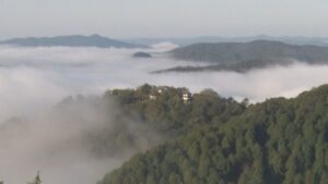 「天空の山城」はいつ見られる？　備中松山城の雲海の出現をAIで週間予報　岡山理科大