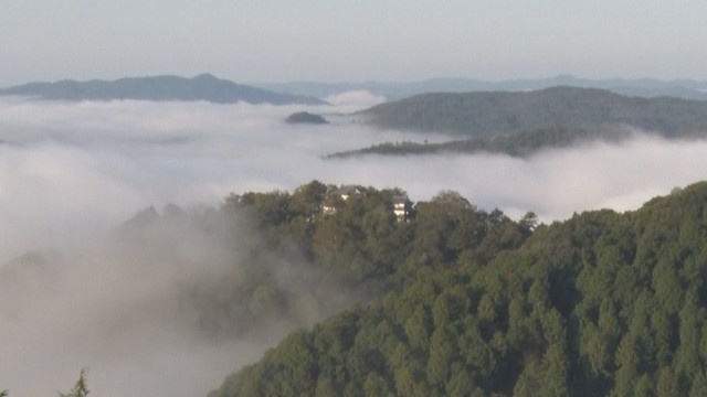 「天空の山城」はいつ見られる? 備中松山城の雲海の出現をAIで週間予報 岡山理科大