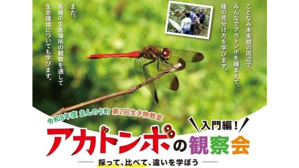 【10/12】秋の風物詩・アカトンボの観察会　青いアカトンボも？　香川・まんのう町