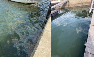 備前市の漁港に浮流油 漁業への被害は確認されず 岡山